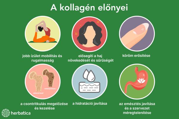 A kollagén előnyei